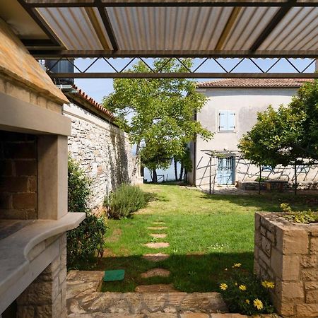 Villa Daulos Novigrad Istria 外观 照片