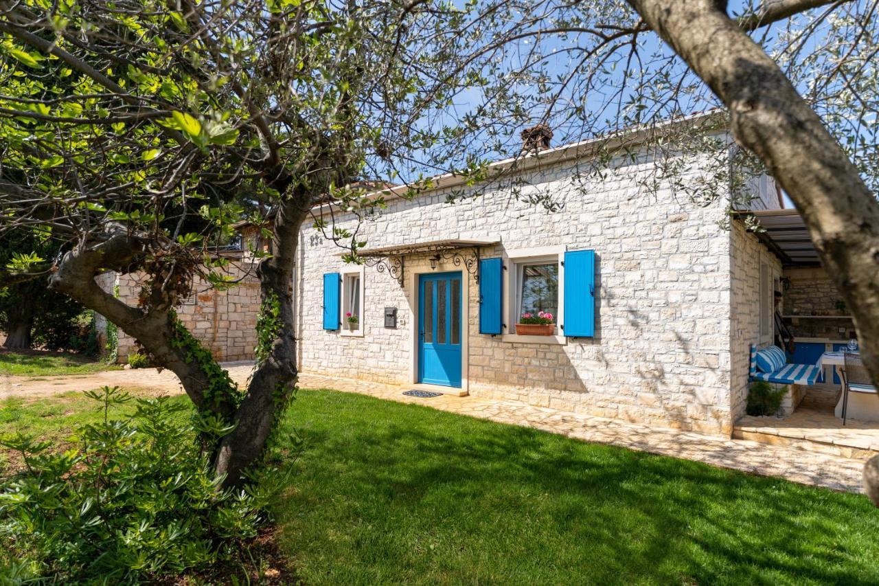 Villa Daulos Novigrad Istria 外观 照片