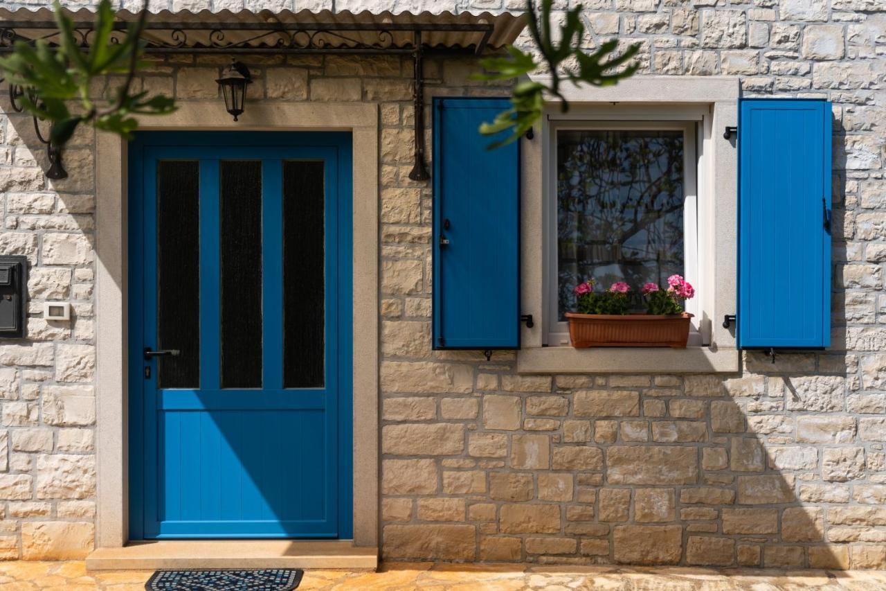 Villa Daulos Novigrad Istria 外观 照片