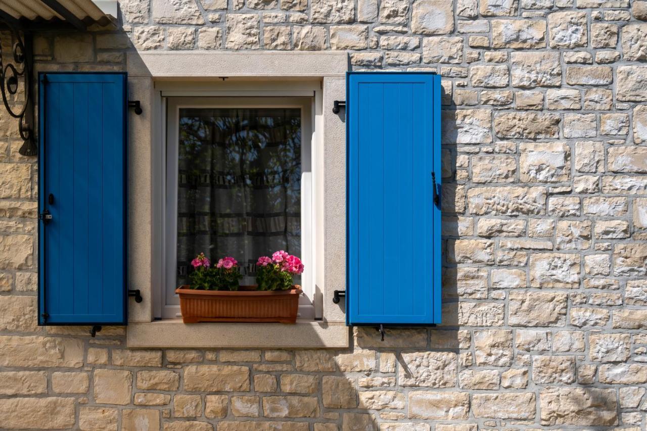 Villa Daulos Novigrad Istria 外观 照片