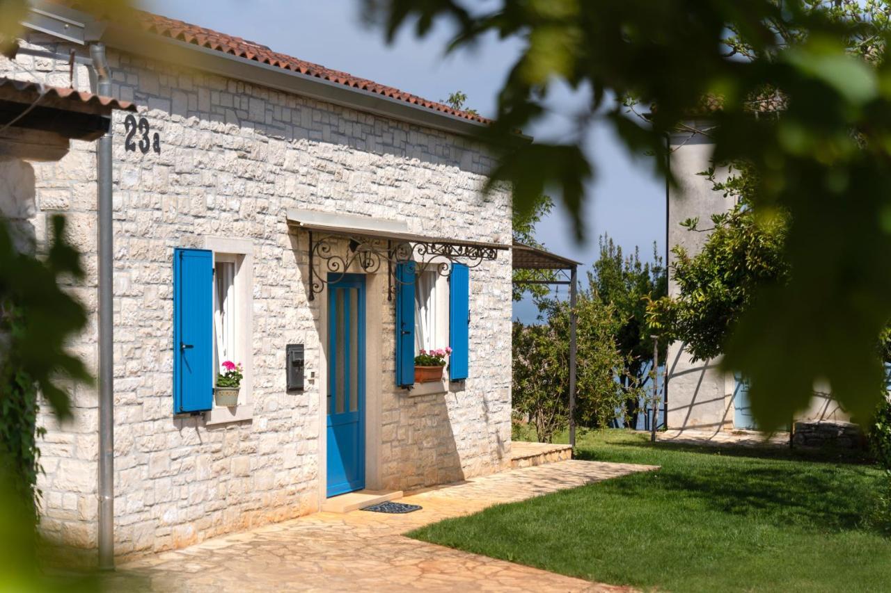 Villa Daulos Novigrad Istria 外观 照片