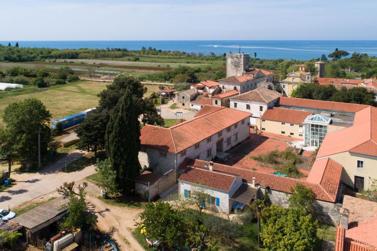 Villa Daulos Novigrad Istria 外观 照片