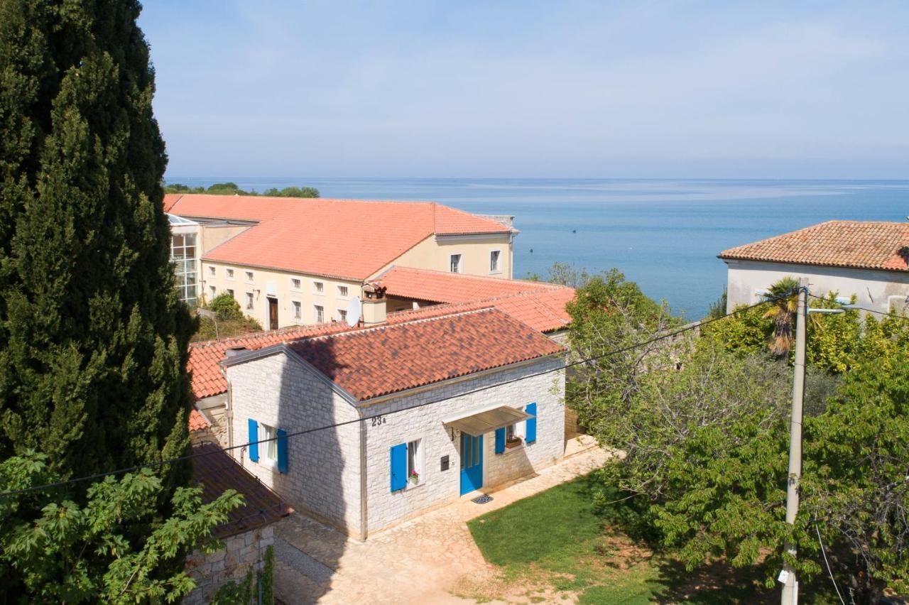 Villa Daulos Novigrad Istria 外观 照片
