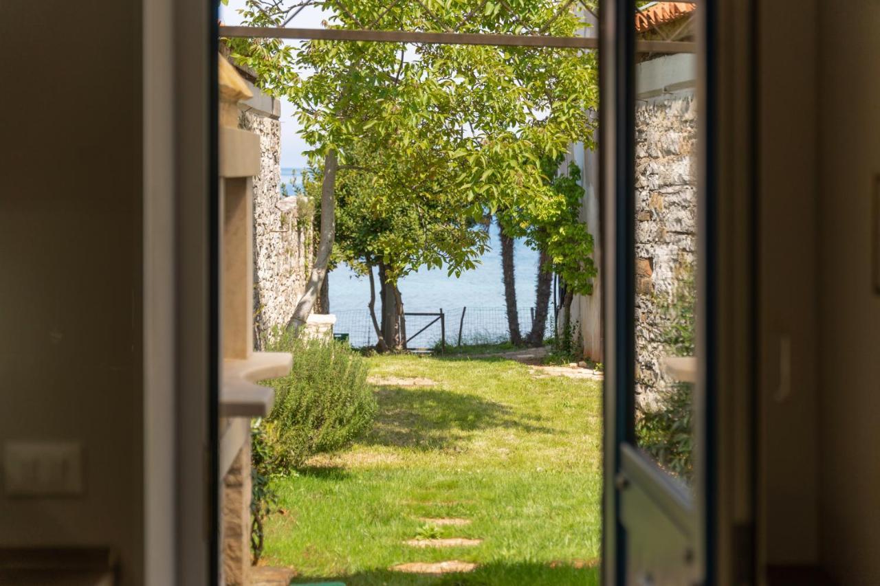 Villa Daulos Novigrad Istria 外观 照片