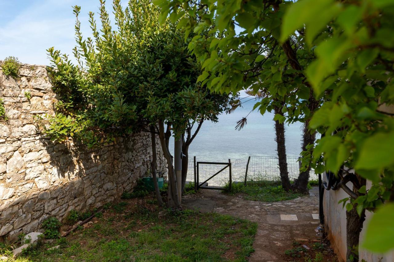 Villa Daulos Novigrad Istria 外观 照片