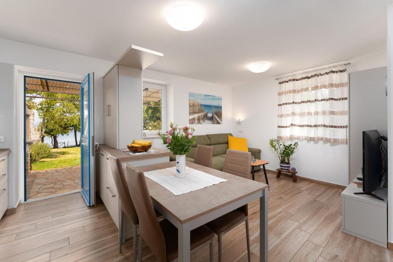 Villa Daulos Novigrad Istria 外观 照片